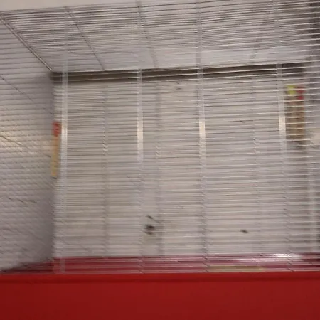 Zum Schwanen 2* Leimen (Baden)